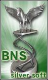 BNS Silverware Award